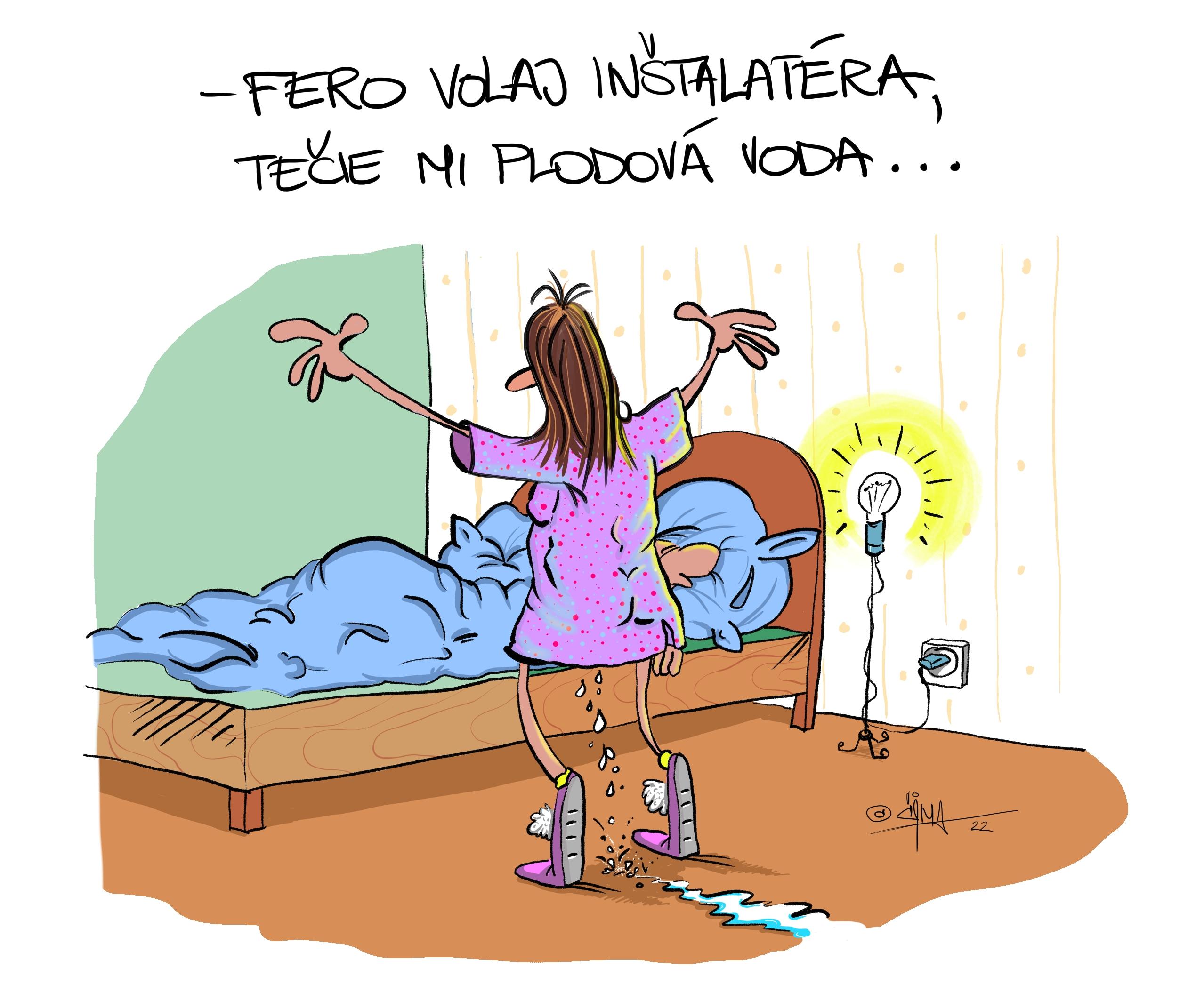 061 _© 2022 cizmar marcel _ instalater