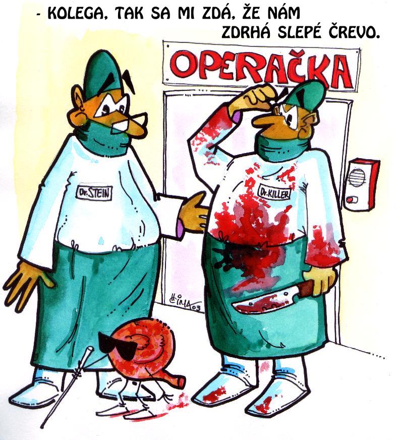 008 slepák.JPG