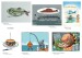 katalog
